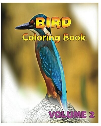 Bird Coloring Books Vol. 2 for Relaxation Meditation Blessing: Sketches Coloring Book (Paperback)