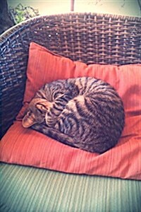 Sweet Napping Tabby Cat on a Cushion on a Chair Journal: 150 Page Lined Notebook/Diary (Paperback)