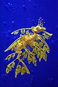 Sea Dragon in a Singapore Aquarium Journal: 150 Page Lined Notebook/Diary (Paperback)