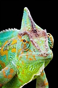 Say Hello to the Yemen Chameleon Journal: 150 Page Lined Notebook/Diary (Paperback)