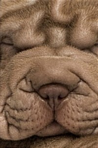 Sweet Face of a Snoozing Shar Pei Puppy Dog Journal: 150 Page Lined Notebook/Diary (Paperback)