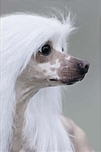 Lovely Chinese Crested Dog Portrait Journal: 150 Page Lined Notebook/Diary (Paperback)