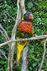 Bright and Colorful Lorikeet Parrot Sitting on a Branch Journal: 150 Page Lined Notebook/Diary (Paperback)