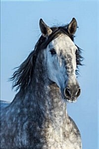 Gorgeous Gray Andalusian Spanish Horse Journal: 150 Page Lined Notebook/Diary (Paperback)