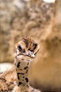 Skeptical Baby Ostrich Bird Journal: 150 Page Lined Notebook/Diary (Paperback)