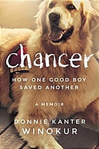 Chancer: How One Good Boy Saved Another (Paperback)