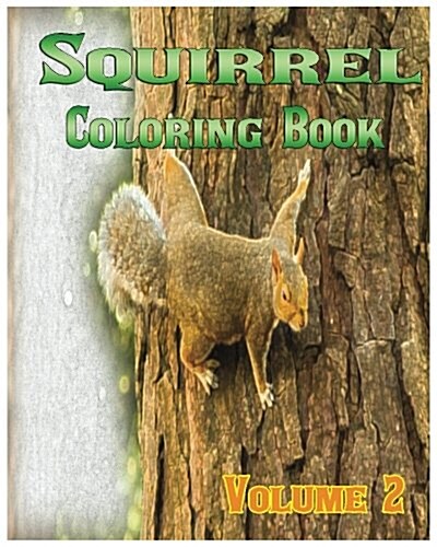 Squirrel Coloring Books Vol.2 for Relaxation Meditation Blessing: Sketches Coloring Book (Paperback)