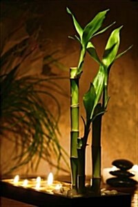 Lucky Bamboo Plant and Candles Meditation Journal: 150 Page Lined Notebook/Diary (Paperback)