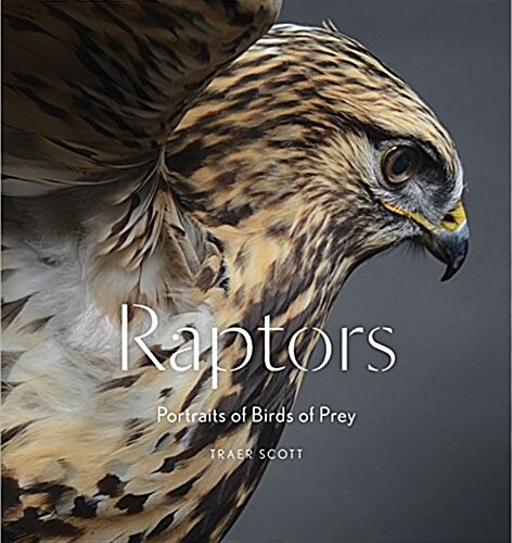 Raptors: Birds of Prey: Portraits of Birds of Prey (Hardcover)