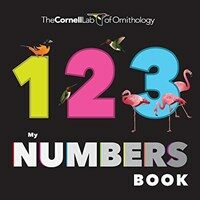 My Numbers Book (Board Books)