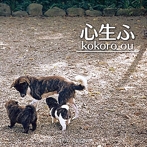 心生ふ kokoro ou (單行本(ソフトカバ-))