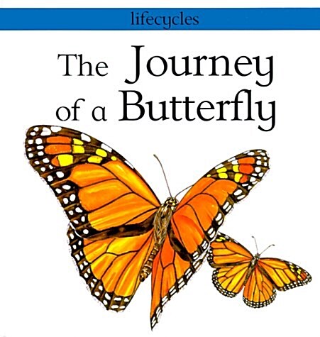 The Journey of a Butterfly (Library)