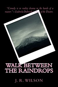 Walk Between the Raindrops (Paperback)