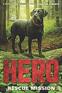 Hero: Rescue Mission (Hardcover)