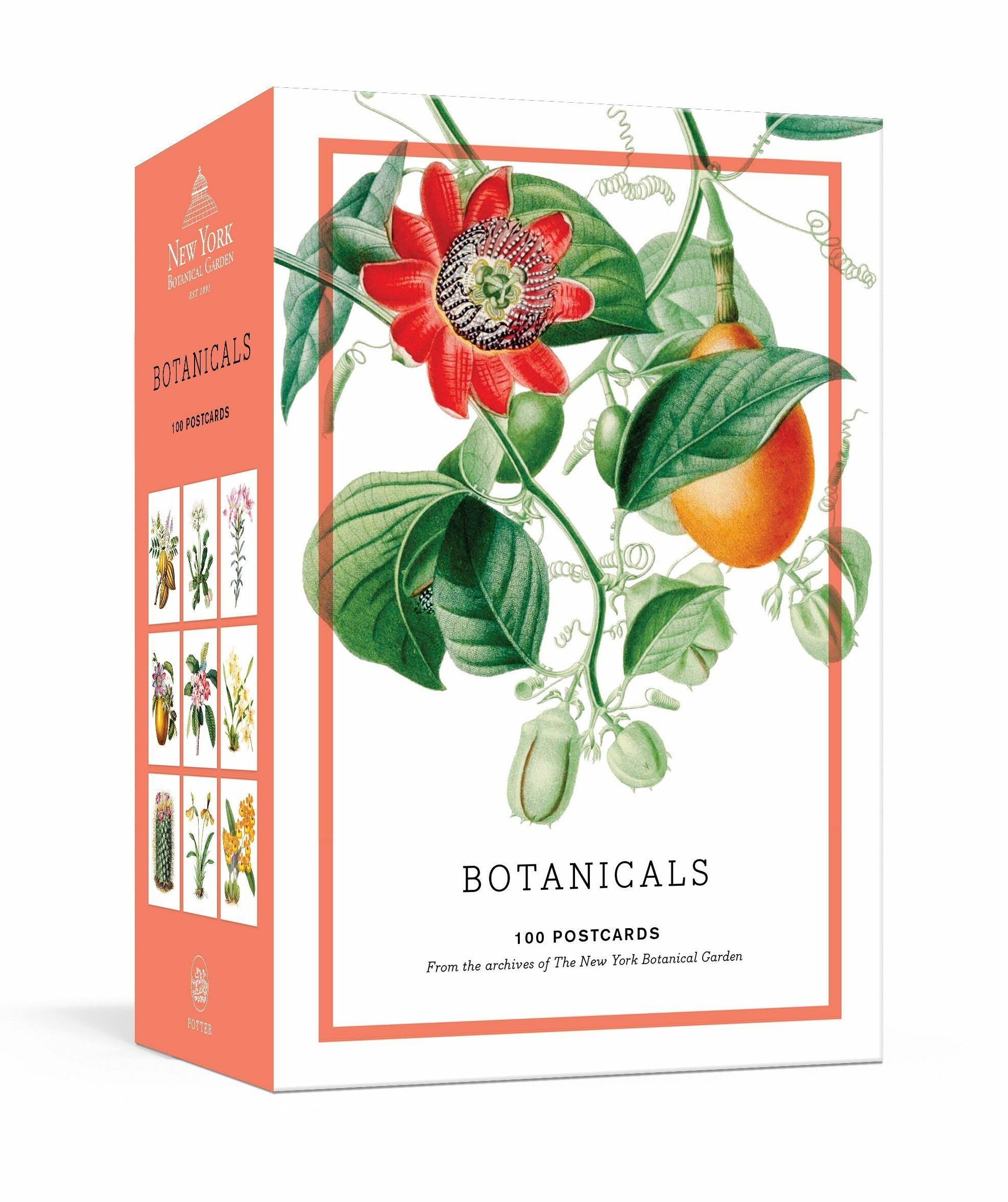 Botanicals: 100 Postcards from the Archives of the New York Botanical Garden (Other)