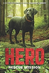 Hero: Rescue Mission (Paperback)