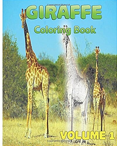 Giraffe Coloring Books Vol.1 for Relaxation Meditation Blessing: Sketches Coloring Book (Paperback)