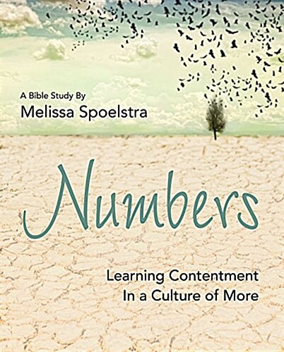 Numbers - Womens Bible Study Participant Workbook: Learning Contentment in a Culture of More (Paperback)