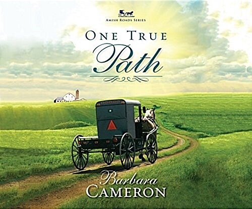 One True Path (MP3 CD)