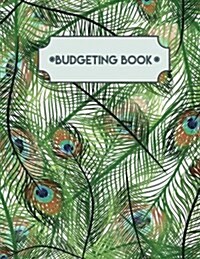 Budgeting Books: Budget Planner Organizer 365 Days(12 Month) - Large Print(8.5x11) - For Personal or Family Large Print with Daily Ex (Paperback)