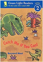 Green Light Readers. 2-22 : Catch Me If You Can!