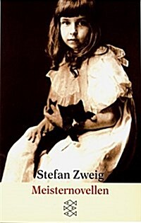 Meisternovellen (Paperback)