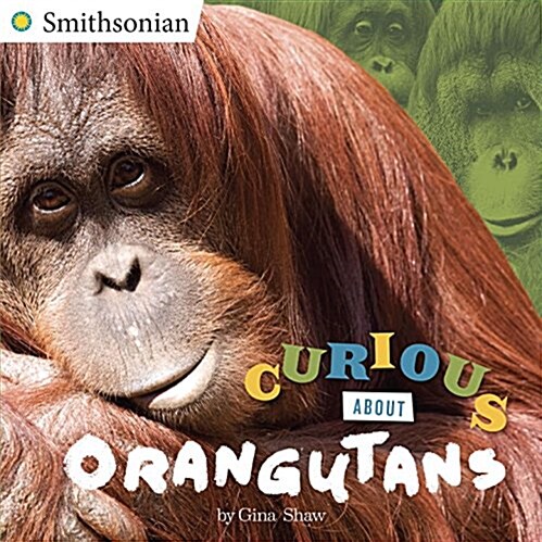 Curious About Orangutans (Paperback)