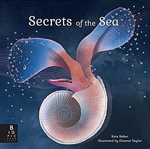 Secrets of the Sea (Hardcover)