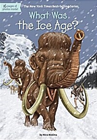 What Was the Ice Age? (Library Binding)