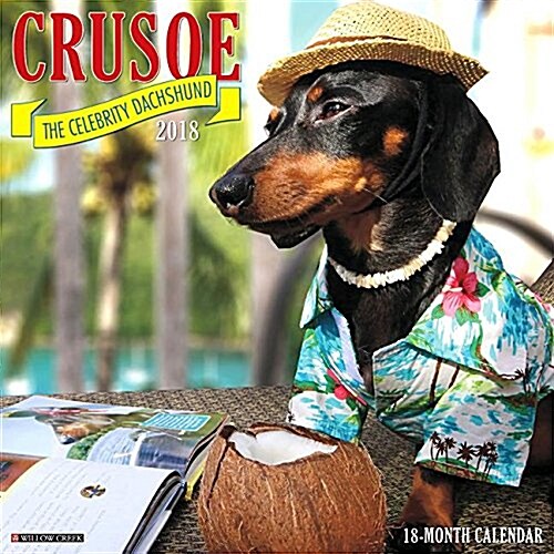 Crusoe the Celebrity Dachshund 2018 Wall Calendar (Dog Breed Calendar) (Wall)
