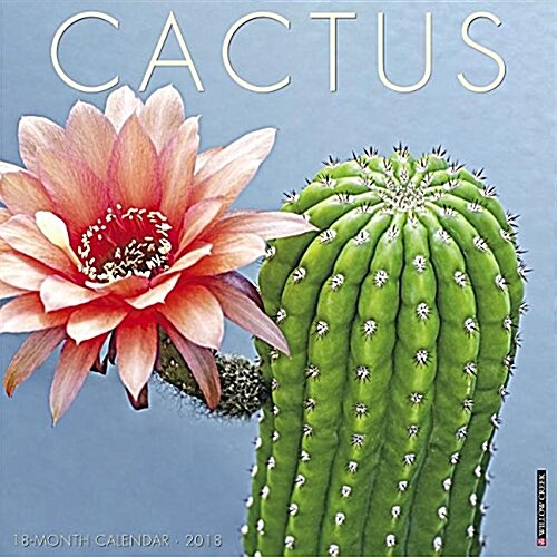 Cactus 2018 Wall Calendar (Wall)