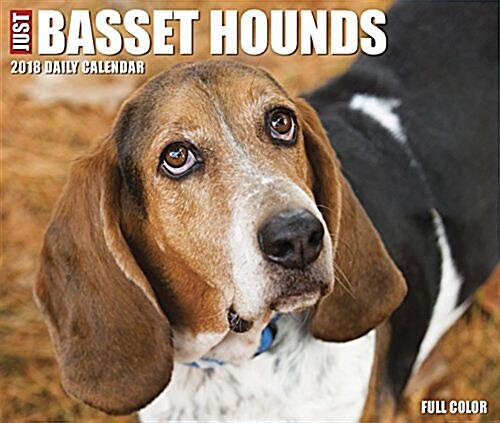 Just Basset Hounds 2018 Box Calendar (Dog Breed Calendar) (Daily)