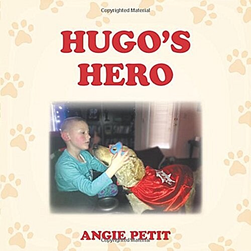 Hugos Hero (Paperback)