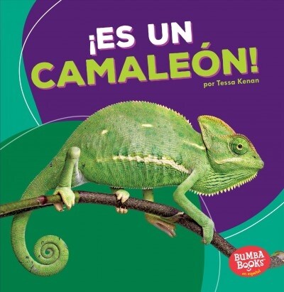 Es Un Camaleon! (Its a Chameleon!) (Paperback)