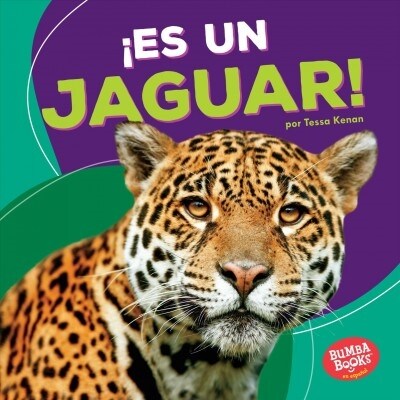 좪s Un Jaguar! (Its a Jaguar!) (Paperback)