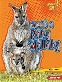 Meet a Baby Wallaby (Library Binding)