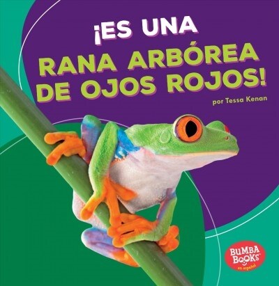 좪s Una Rana Arb?ea de Ojos Rojos! (Its a Red-Eyed Tree Frog!) (Paperback)