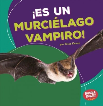 좪s Un Murci?ago Vampiro! (Its a Vampire Bat!) (Paperback)