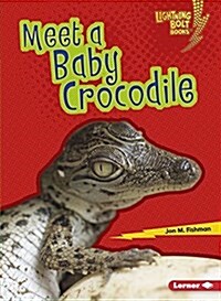 Meet a Baby Crocodile (Paperback)