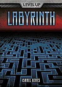 Labyrinth (Library Binding)