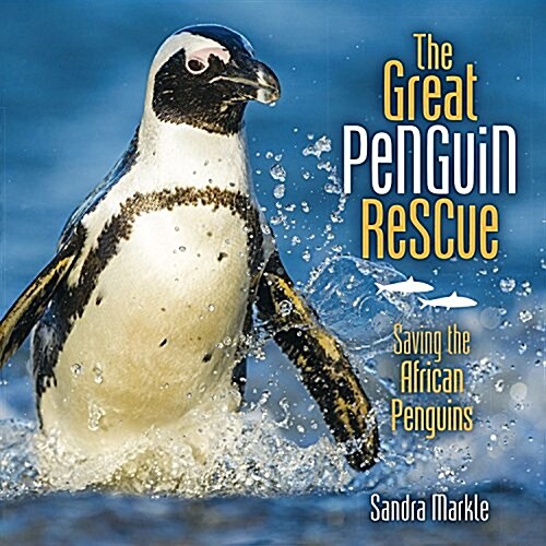 The Great Penguin Rescue: Saving the African Penguins (Library Binding)