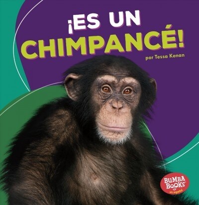 좪s Un Chimpanc? (Its a Chimpanzee!) (Paperback)