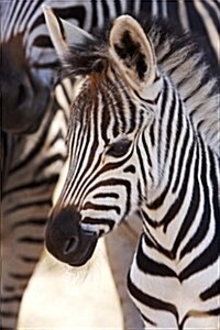 An Adorable Baby Burchells Zebra Foal Journal: 150 Page Lined Notebook/Diary (Paperback)