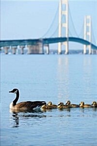 Mama Duck and Baby Ducklings Swimming Near Mackinac Bridge Michigan USA Journal: 150 Page Lined Notebook/Diary (Paperback)