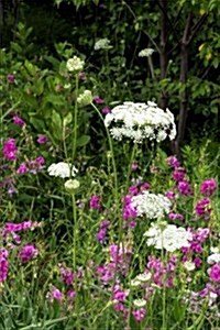 Wildflowers: Sweet Peas, Queen Annes Lace, and Wild Carrot Flowers Journal: 150 Page Lined Notebook/Diary (Paperback)