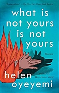 What Is Not Yours Is Not Yours (Paperback)