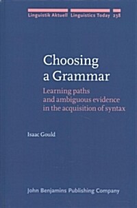 Choosing a Grammar: Learning Paths and Ambiguous Evidence in the Acquisition of Syntax (Hardcover)