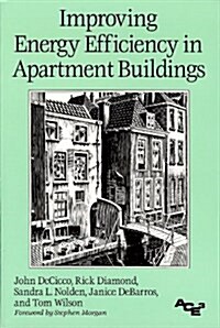 Improving Energy Efficiency in Apartment Buildings (Paperback)