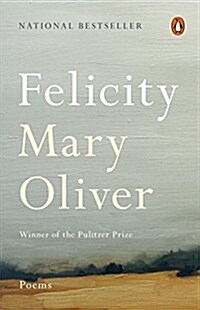 Felicity: Poems (Paperback)