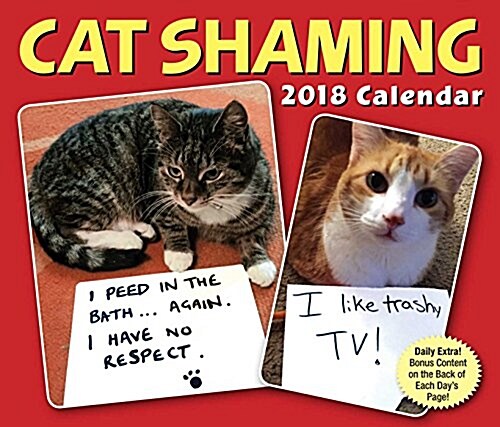 Cat Shaming 2018 Day-To-Day Calendar (Daily)
